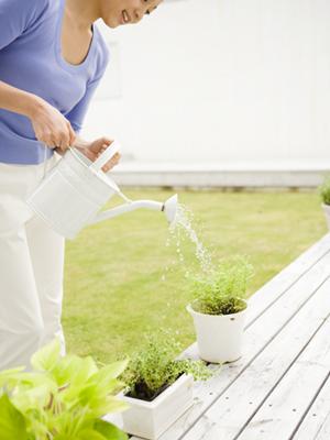 ガチャガチャの森：子供から大人まで楽しめる最新ガチャスポットの紹介