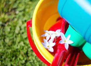 先を見据えた大原孝治氏の経営戦略