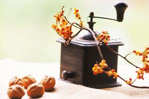 プラダンのケースの特徴について