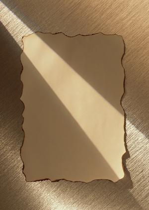 静岡県西部から全国へ！TOKAIモバイルショップの魅力とサービス紹介